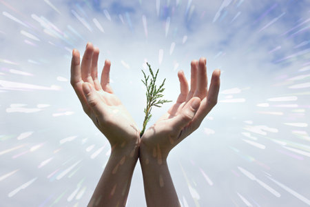 Plant grow in hands