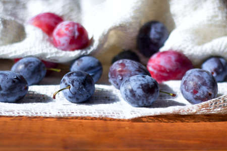 Plums. Blue and violet plums on wooden table.の写真素材