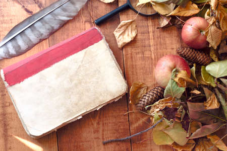 Old diary with feather on wooden background autumn conceptの写真素材