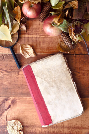 Autumn still life -old book among the autumn leaves on wooden background.の写真素材