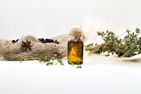 Organic essential thyme oil with for beauty and spa treatmentの写真素材