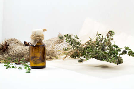 Thyme oil skincare. Bottle of herbal extract, aromatic fresh green twigsの写真素材