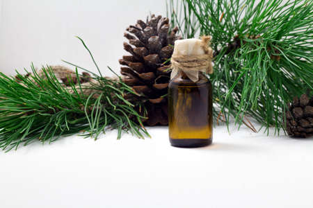 Oil of pine nuts. Cedar oil on a wooden background. Useful oil with vitamins.の写真素材