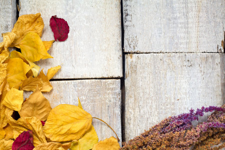 Autumn leaf composition with picture frame. Copy space.の写真素材