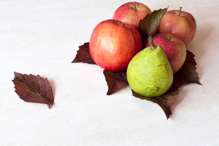 Ripe fruits apples, pears and several yellow autumn leaves on white wooden table.の写真素材