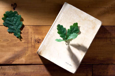 Pile of books on wooden backgroundの写真素材