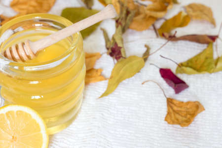 Honey dipper on white backgroundの写真素材