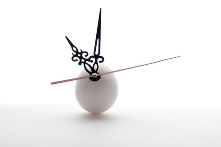 egg and clock hands on white background . Time concept or idea or waiting conceptsの写真素材