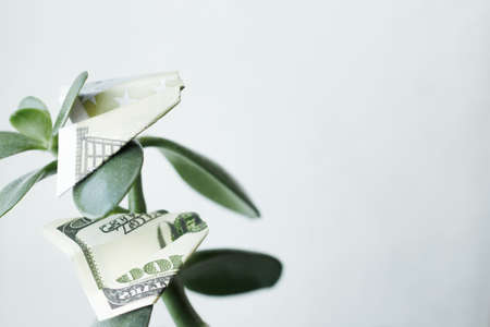 paper plane dollar and euro money on green trees . grow money conceptの写真素材