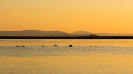 sunset photos