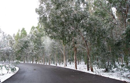 snow winter photosの写真素材