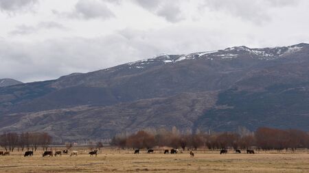 landscape photos for backgroundの写真素材