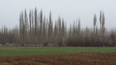 landscape photos for backgroundの写真素材
