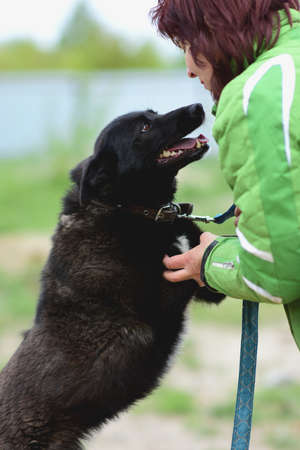 Ozersk, Chelyabinsk region, Russian Federation - 25 may 2019. Young woman in a green jacket at the animal shelter. Black dog stands on his hind legs and looks into her eyes. The concept of loneliness.のeditorial素材