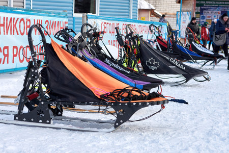 Sleds for racing sled dogs stand in front of the competition. Dog skijoring equipment. Chelyabinsk, Russia, January 25, 2020のeditorial素材