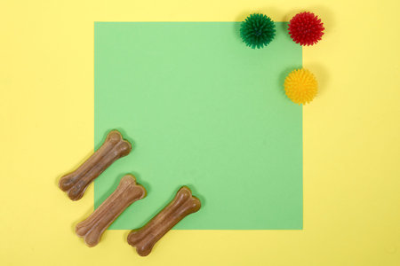 Accessories for Pets. Treats, food, balls for playing with the dog, top view
