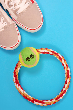 Accessories for walking with a pet. Sneakers, a ring for playing with a dog, on a blue background...