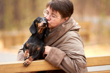 An adult woman on a walk in the autumn forest hugs a dog Dachshund.の写真素材