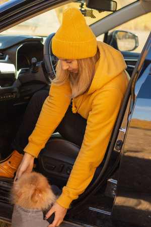 A beautiful positive woman in yellow clothes on a picnic sitting in a car with her dog Pomeranian on...
