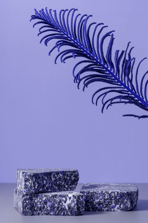 A set of cosmetics on a fashionable very peri color background on a stone podium with a leaf of dried fern flower. Healthy cosmetology, the concept of spa treatment.の写真素材