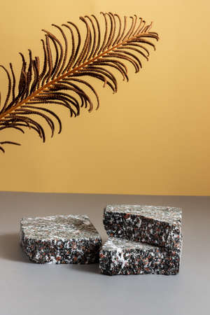 A stone podium made of marble stone with a leaf of dried fern flower on a light sandy background. Mocap for cosmetology, the concept of spa treatment.の写真素材