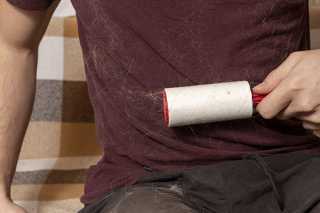 A man with a sticky clothes roller removes animal hair from clothes. cat hair on clothes. A sticky...