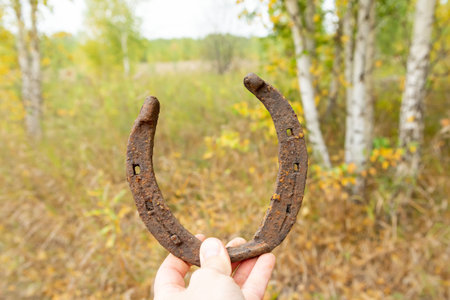 Old horseshoes, collected with a metal detector, against a background of green grass.の写真素材