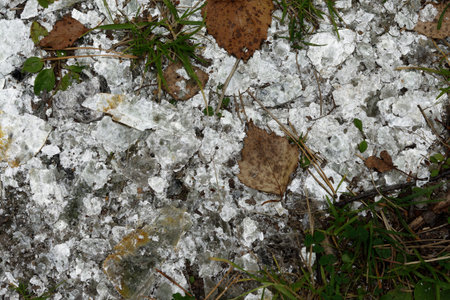 Zonal layers of Mica and Lepidolite in the roots of trees in the forest. Deposit of natural raw mica stoneの写真素材
