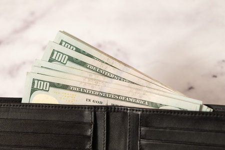 banknote money dollars in a wallet on a light background, the concept of saving money and business...