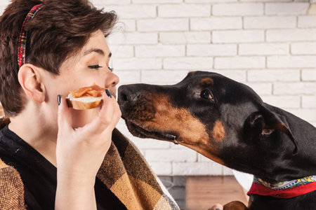 A young woman sharing her delicious sandwich with her loyal dog in a cozy kitchen. The heartwarming moment captured in this candid photograph showcases the bond between pets and their owners.の写真素材