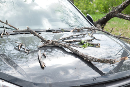 strong wind broke tree that fell on car in the parking lotの写真素材