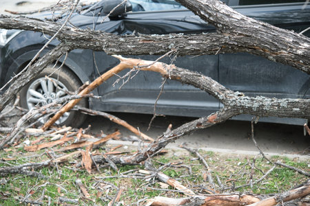 strong wind broke tree that fell on car in the parking lotの写真素材