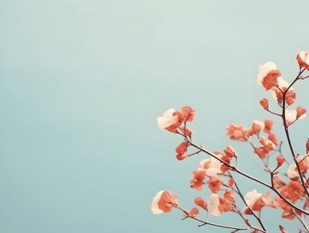 Abstract floral background, floral art abstract wallpaper and background, Floral textured flower, realistic flower background with text writing areaの素材