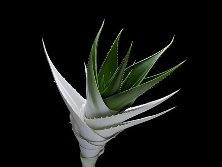 Aloe vera flower in studio background, single aloe vera flower, Beautiful flower, ai generated imageの素材