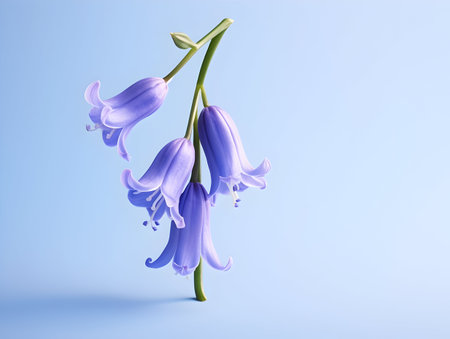 Bluebell flower in studio background, single bluebell flower, Beautiful flower, ai generated imageの素材