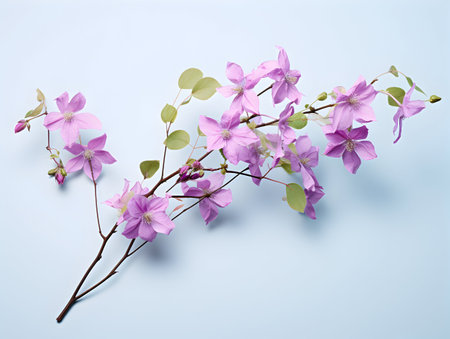 Creeper flower in studio background, single Creeper flower, Beautiful flower, ai generated imageの素材