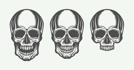 Set of vintage retro skullsのイラスト素材