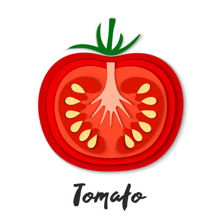 Vector set of paper cut red tomato, cut shapes. 3D abstract paper art style, origami concept design, food packaging, advertising, detox, cosmetics, healthy eating.のイラスト素材