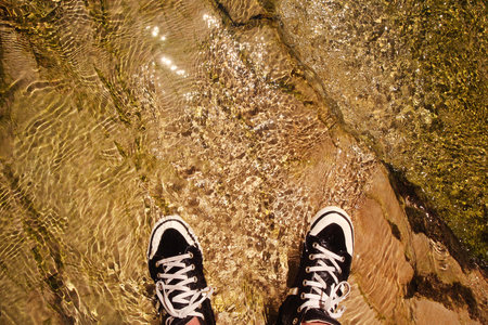 Black wet sneakers in the water of a mountain river, on the background of transparent water in sunny glareの写真素材