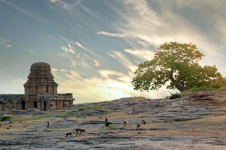 India Badami. Monkey at a watering place on a background of a Hindu temple at sunset