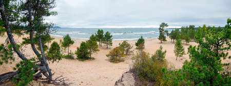 Russia, Goryachinsk. Pines and cedars on the sandy shore of Lake Baikal.の写真素材