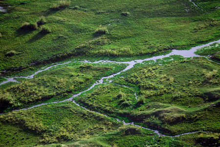 Green meadows of grass with numerous streams of small rivers, top view