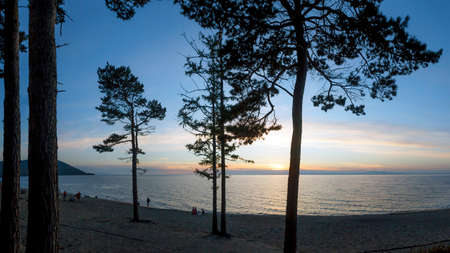 Russia, Goryachinsk. Sunset on the shore of a sandy beach near Lake Baikal. The pine tree shines through the pine treesの写真素材