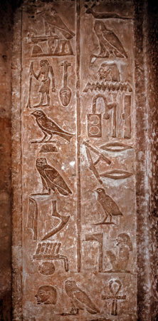 Ancient Egyptian hieroglyphs with the image of different birds