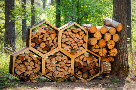 Unusual hexagonal firewood storage outdoors