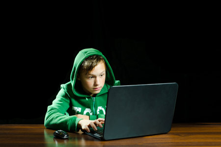 Young boy using a laptop computer