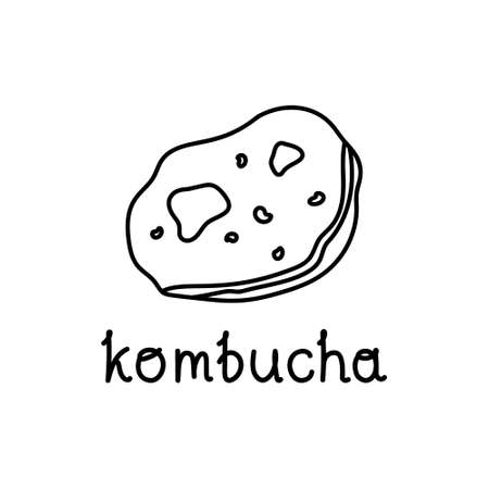 Kombucha doodle vector icon. Hand drawn contour illustration of chinese tea mushroom. Symbol of fermented antioxidant tea. Outline emblem for vegan drinksのイラスト素材