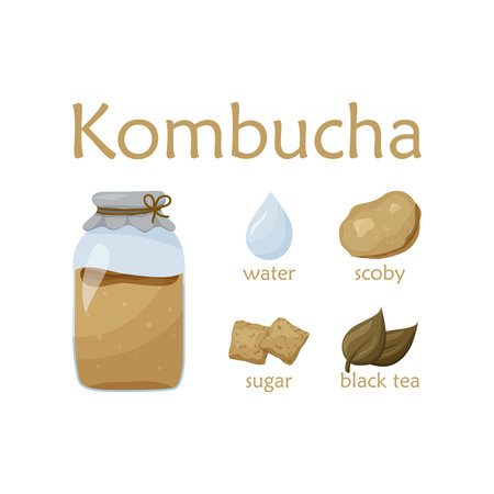 Recipe for healthy kombucha. Flat food vector illustration. Cartoon hand drawn detox tea. Glass jar...