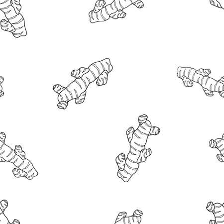 Seamless food pattern. Contour vector ginger on white background. Outline hand drawn illustration for spice and organic food packaging designのイラスト素材