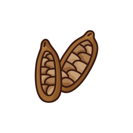 Doodle cocoa bean icon. Hand drawn vector image of seed. Color illustration for food, cooking, product design. Cartoon isolated fruit on white background. Line art elementのイラスト素材